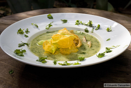 124-Crema de Cilantro_Los Dos_Merida_Mexico (c) Eduardo Cervantes.jpg